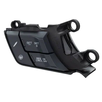 Cruise Control Switch - Left, Lower (AT)