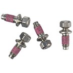 Bolt - M6 X 11MM 5.0L Main Image