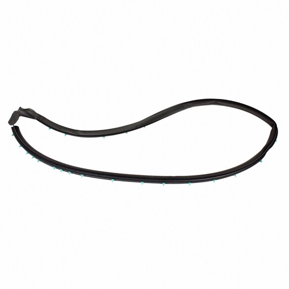 Door Seal Weatherstrip - Right, Front (Convertible, Coupe) Main Image