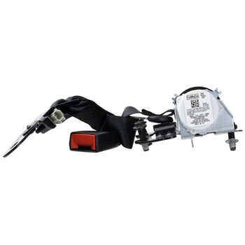 Seat Belt Lap and Shoulder - Rear, Center