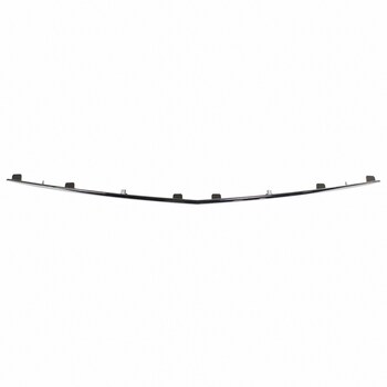 Bumper Trim Molding - Rear