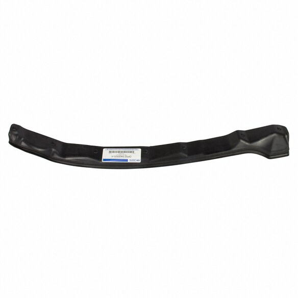 Door Shell Seal Weatherstrip - Right, Front Main Image