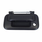 Tailgate Handle Main Image