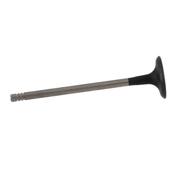 Engine Intake Valve - Inlet 1.0L Main Image