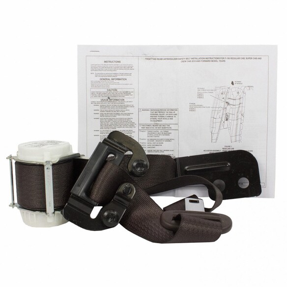 Seat Belt Lap and Shoulder - Rear, Center Main Image