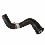 Radiator Coolant Hose - Lower Main Image