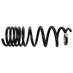 <b>Suspension Coil Spring Repair or Replace</b><br>Your springs are not especially prone to failure, but if they have Main Image