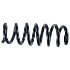 Coil Spring - Front Main Image