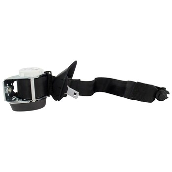 Seat Belt - Left, Rear