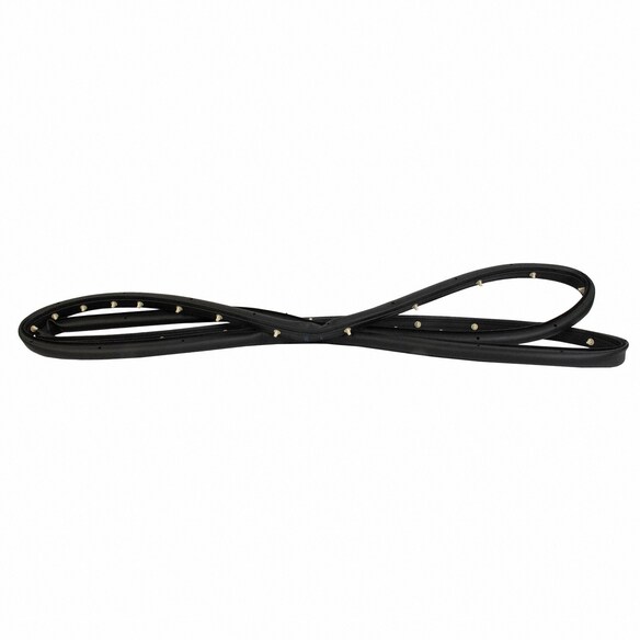 Door Seal Weatherstrip - Right, Front Main Image