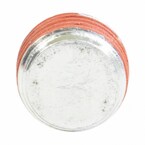 Plug Drain - 1/4"X 18 NPTF (AT) Main Image