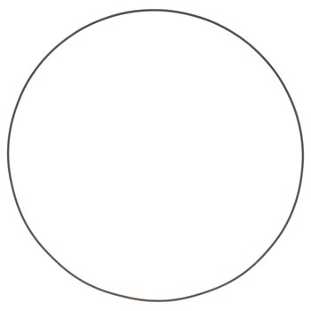 Spring Wave Forward Clutch (AT)