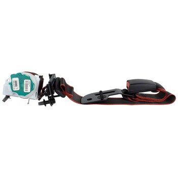 Seat Belt Lap and Shoulder - Rear, Center (XLT Special Edition)