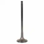 Engine Exhaust Valve Main Image