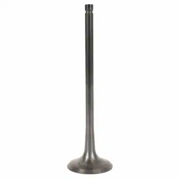 Engine Exhaust Valve