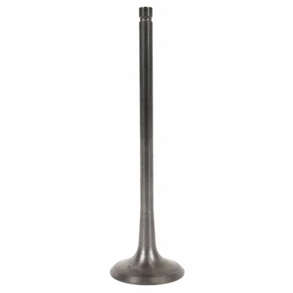 Engine Exhaust Valve Main Image