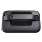 Exterior Door Handle - Right, Rear Main Image