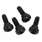 Seat Belt Lap and Shoulder Bolt Receptacle Screw - M10 X 29MM, Rear Main Image