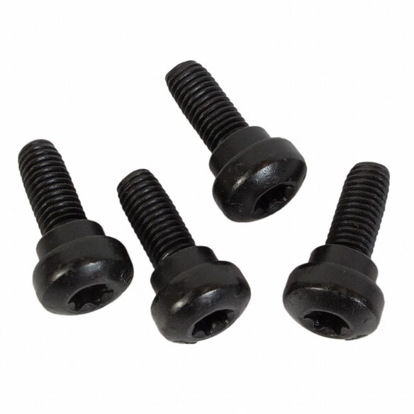 Seat Belt Lap and Shoulder Bolt Receptacle Screw - M10 X 29MM, Rear Main Image