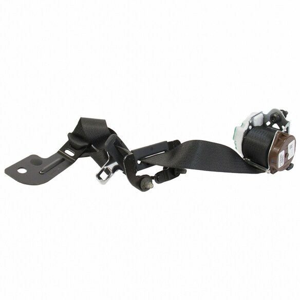 Seat Belt Lap and Shoulder - Rear, Center Main Image