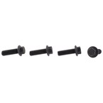 Hex Head Bolt - M8 X 25MM (5-MT, 6-MT, MT) Main Image