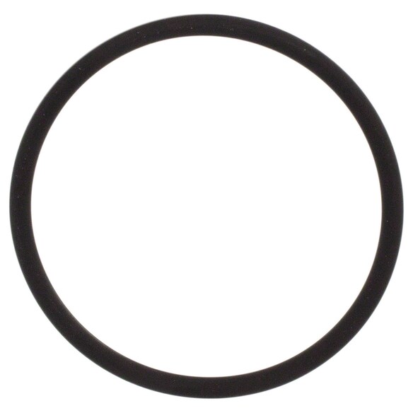 Fuel Pump Gasket Seal Main Image