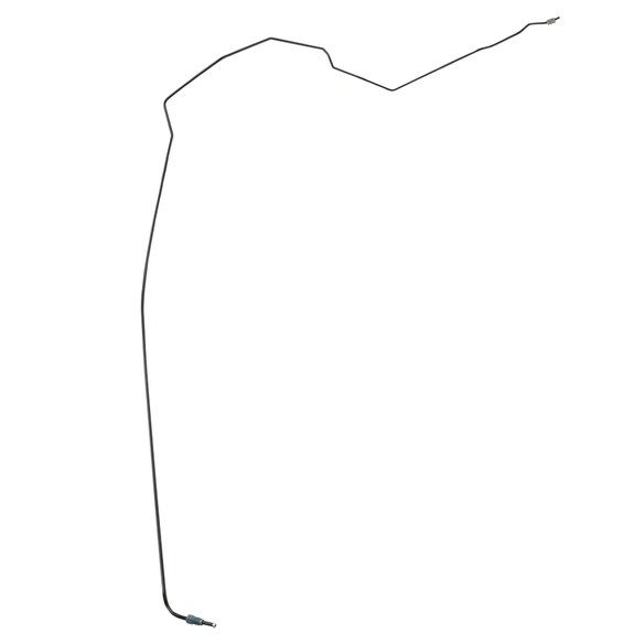 646481.jpg