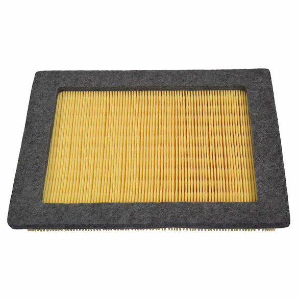 Engine Air Filter Element Clutch - 5.4L Main Image