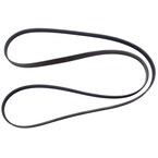 Serpentine Belt Main Image