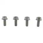 ABS Modulator Bolt Running Board - M8 X 20MM Main Image
