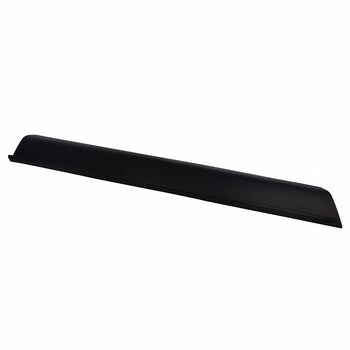 Door Molding Panel - Left, Outer