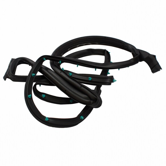 Door Seal Weatherstrip - Left, Front (Police) Main Image