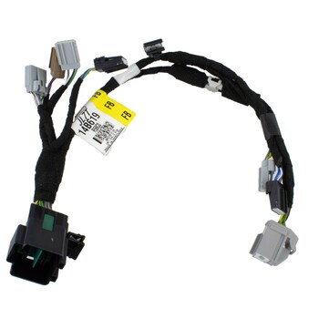 Wiring Door - Right, Rear