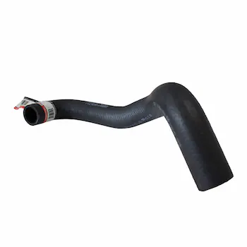Radiator Coolant Hose - Upper (GT)