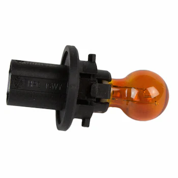 Tail Light Bulb And Socket - Rear