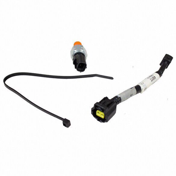 Cruise Control Cut-Out Switch - Outer Main Image