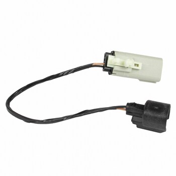 Socket and Wire Lamp