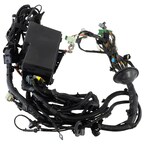 Engine Wiring Harness Wire - 1.0L (AT) Main Image