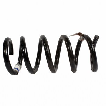 Coil Spring - Left, Right, Rear