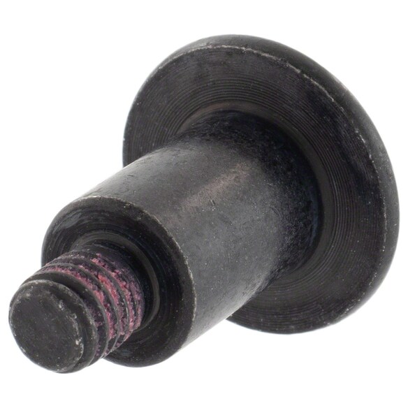 482501.jpg