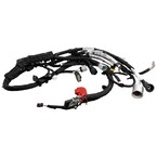 Cable Battery To - 5.0L (AT) Main Image