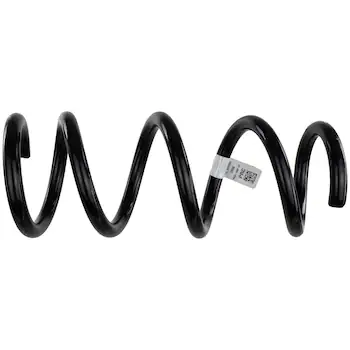 Spring - Right, Rear