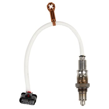 Oxygen Sensor - 5.0L (AT)