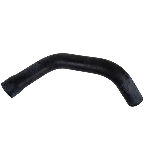 Radiator Coolant Hose - Lower Main Image
