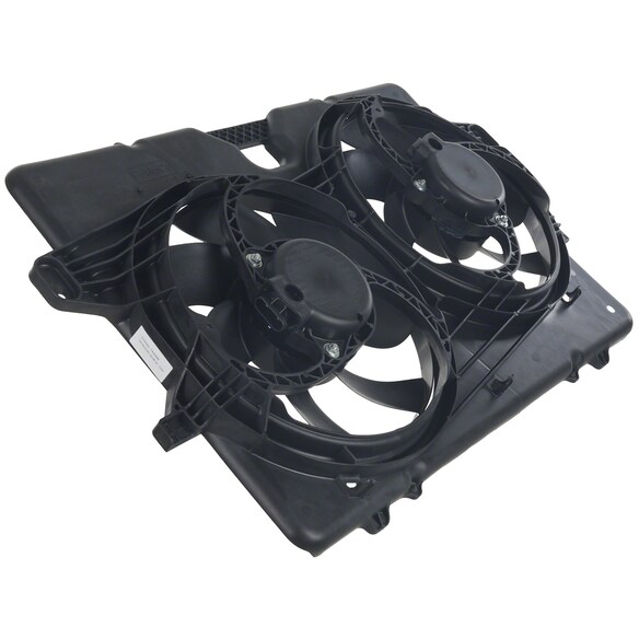 730503.jpg