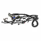 Wire - 4.0L Main Image