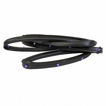 Door Seal Weatherstrip - Left, Rear
