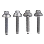 Screw and Washer - M6 X 31.5MM 2.5L Main Image