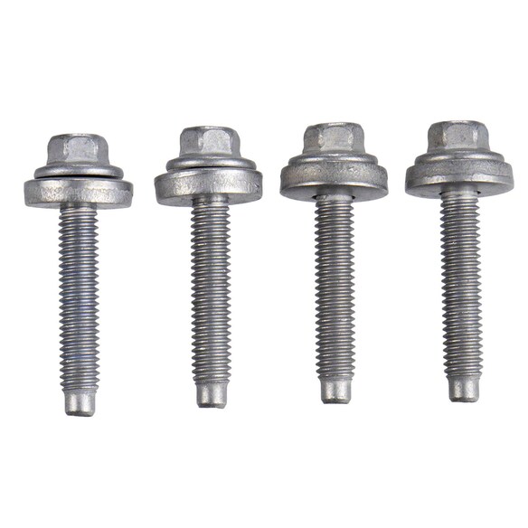 Screw and Washer - M6 X 31.5MM 2.5L Main Image