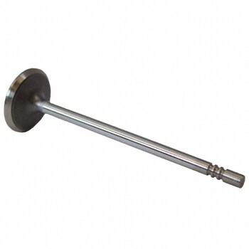 Engine Intake Valve - Inlet